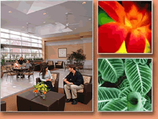 Winter Garden Winter Garden